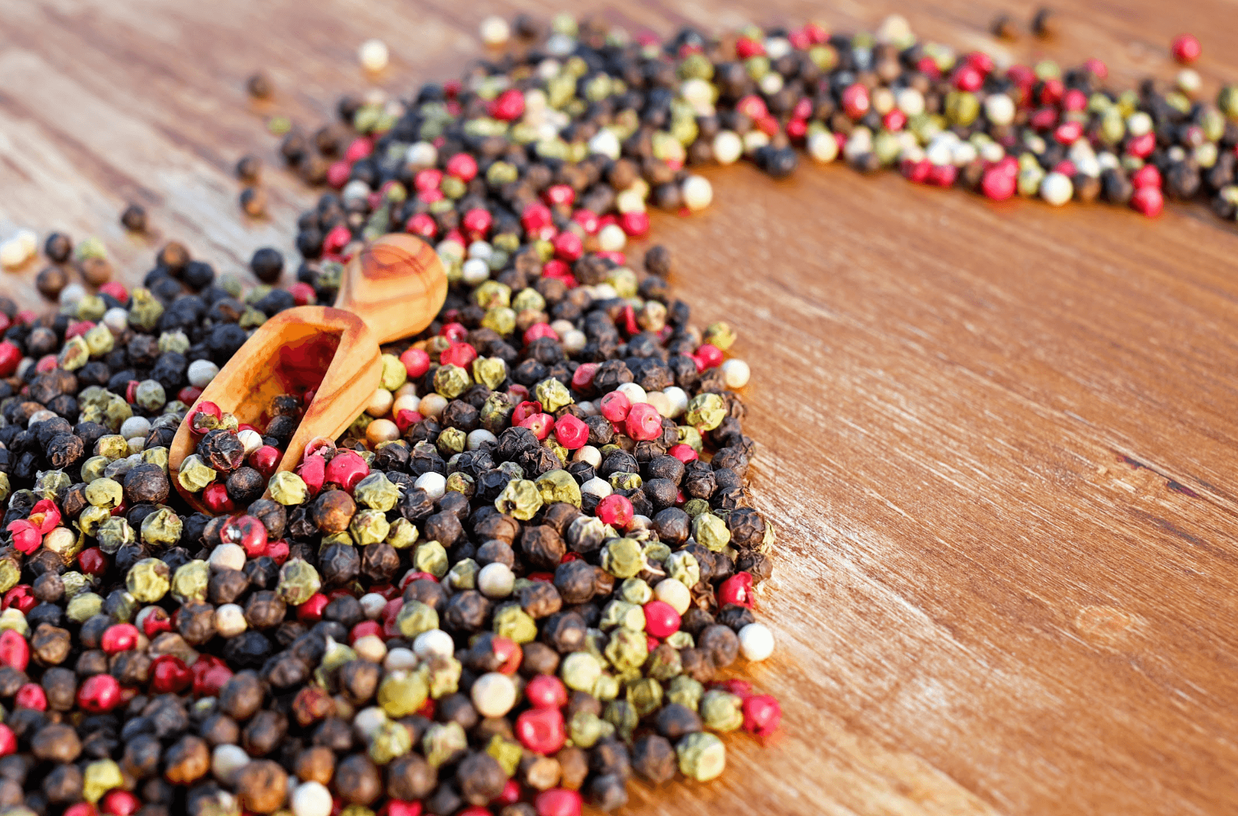 indonesia herbs and spices export